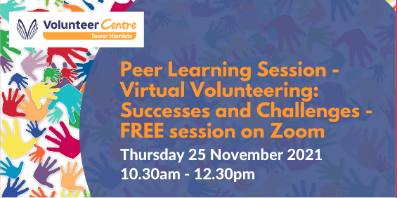 Peer Learning Session - Virtual Volunteering: Successes and Challenges. FREE on Zoom