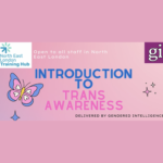 Introduction to Trans Awareness