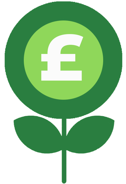 Green icon of a flower and a "£" sign representing funding.